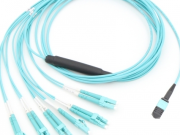 Y Aplican y Fiber na sentro na uyu